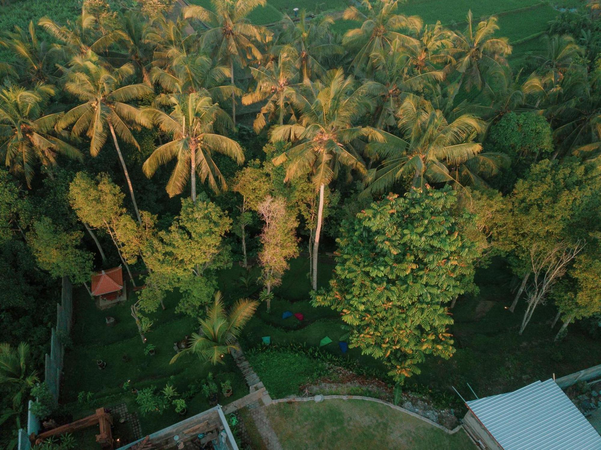 ホテル Bali Made Escape パヤンガン エクステリア 写真